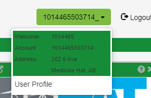 Example of User Profile Screen Screenshot example of User Profile Screen